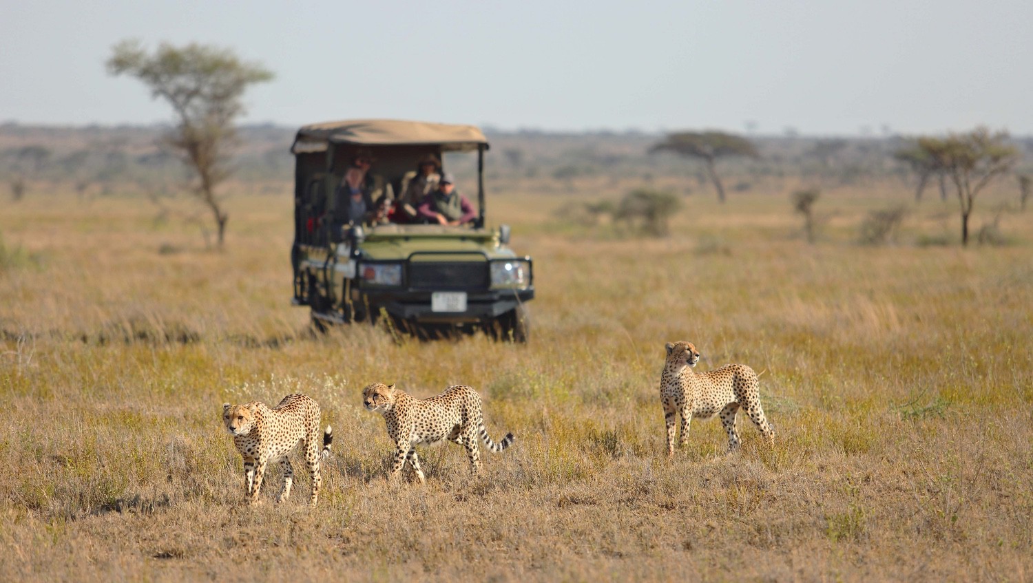Asilia Africa Namiri Plains0025 Lucie