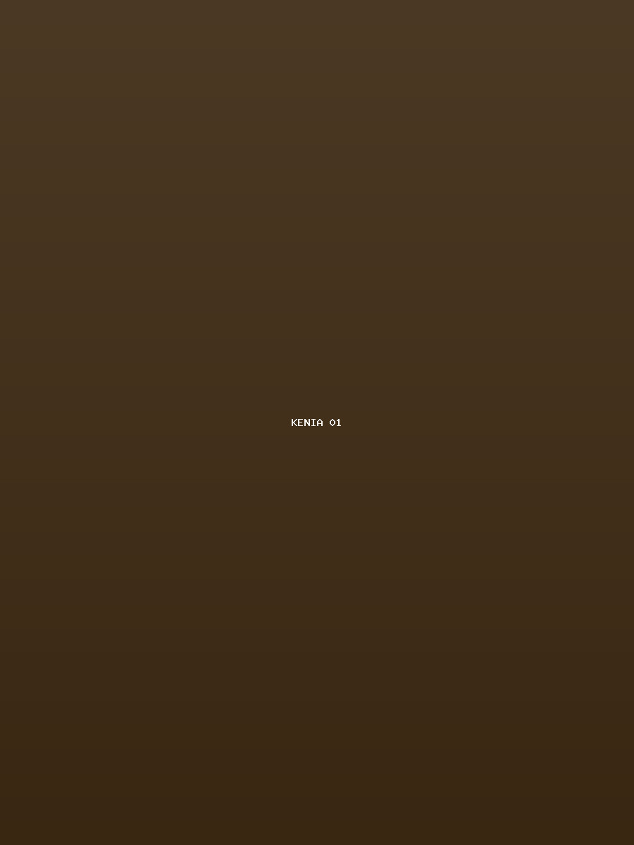 Kenia Galerie 1
