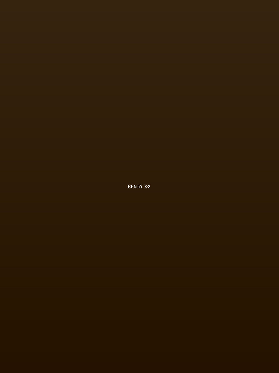Kenia Galerie 2