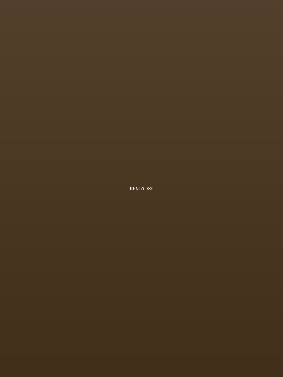 Kenia Galerie 3