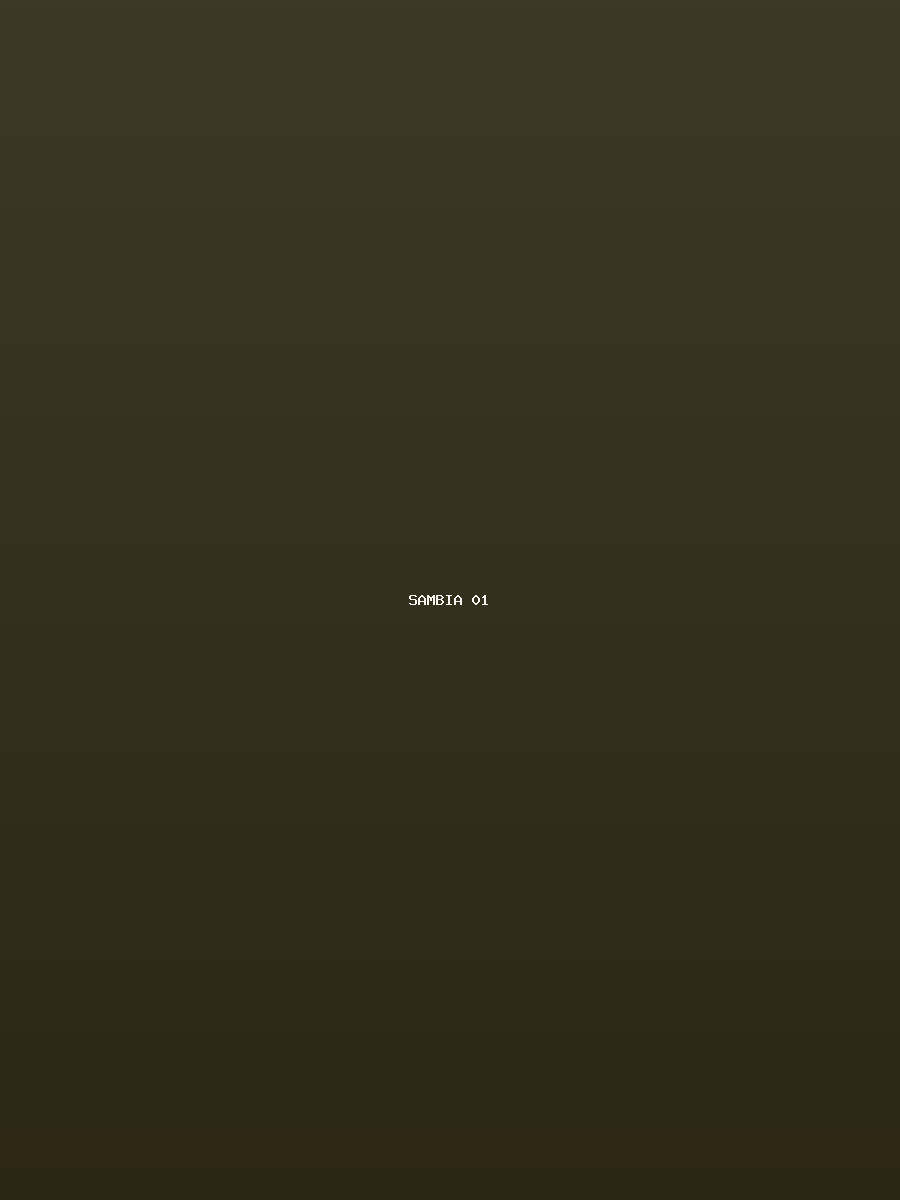 Sambia Galerie 1