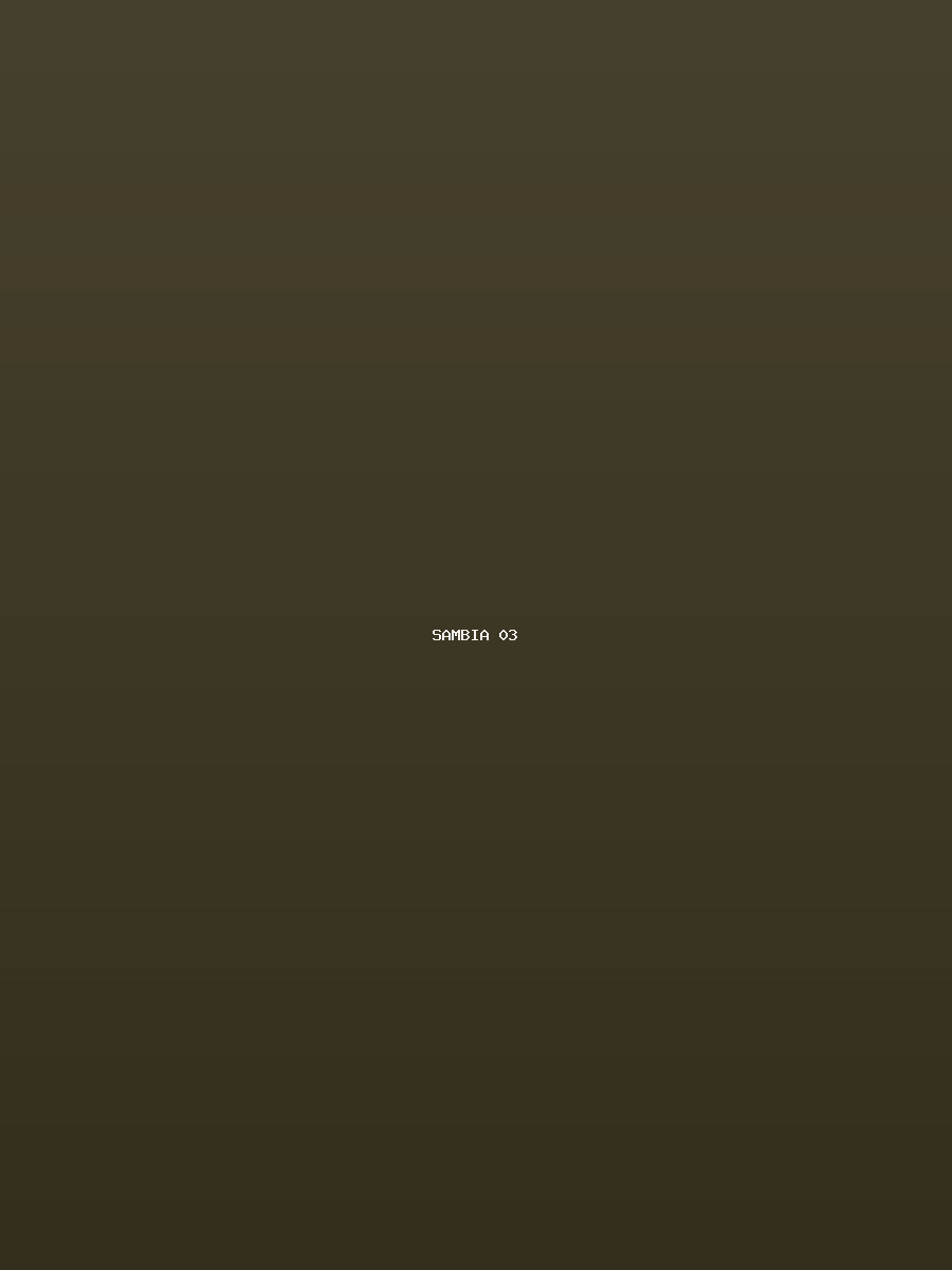 Sambia Galerie 3
