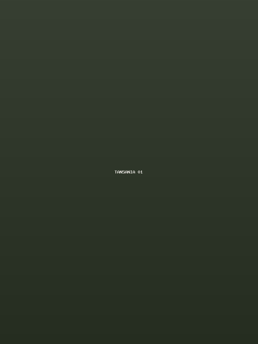 Tansania Galerie 1